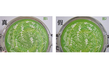 防偽查詢(xún)防偽標(biāo)簽