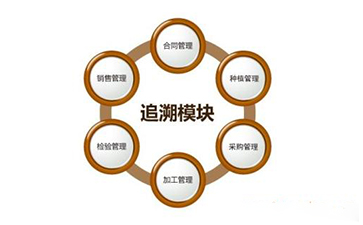 中藥追溯系統(tǒng)解決方案開(kāi)發(fā)
